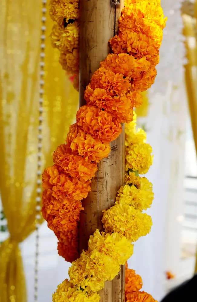 Marigold sample invitation — wedding photograph 5