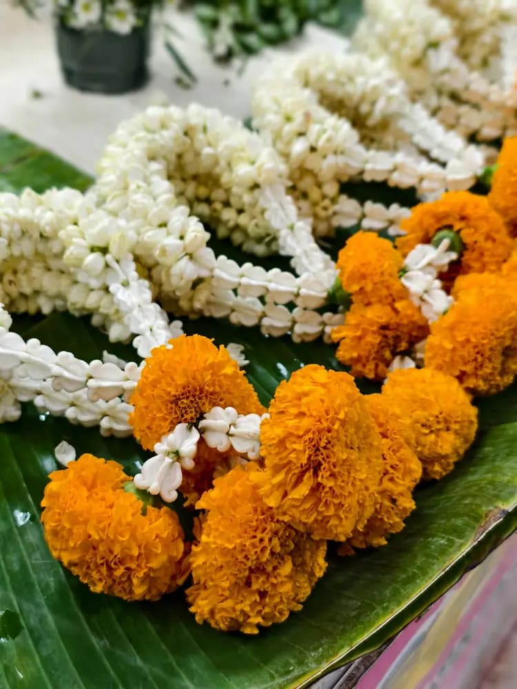 Marigold sample invitation — a moment from the story